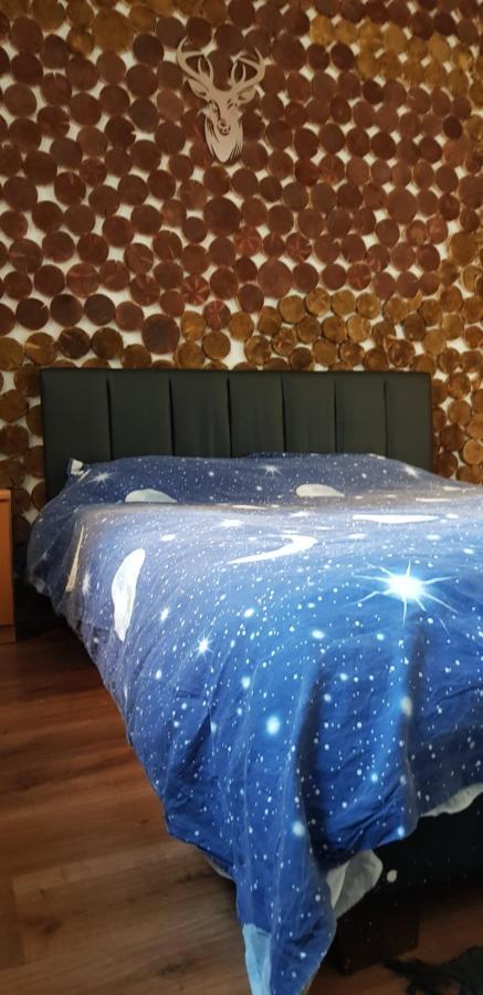 Apartment Straja Lupeni  Dış mekan fotoğraf